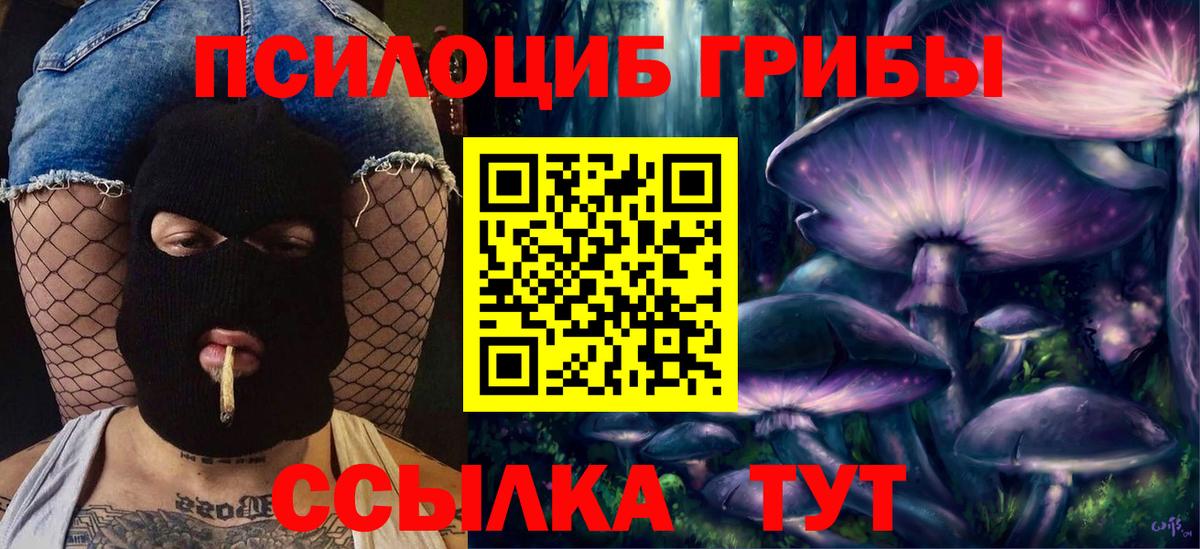 Галлюциногенные грибы прущие грибы Холмск
