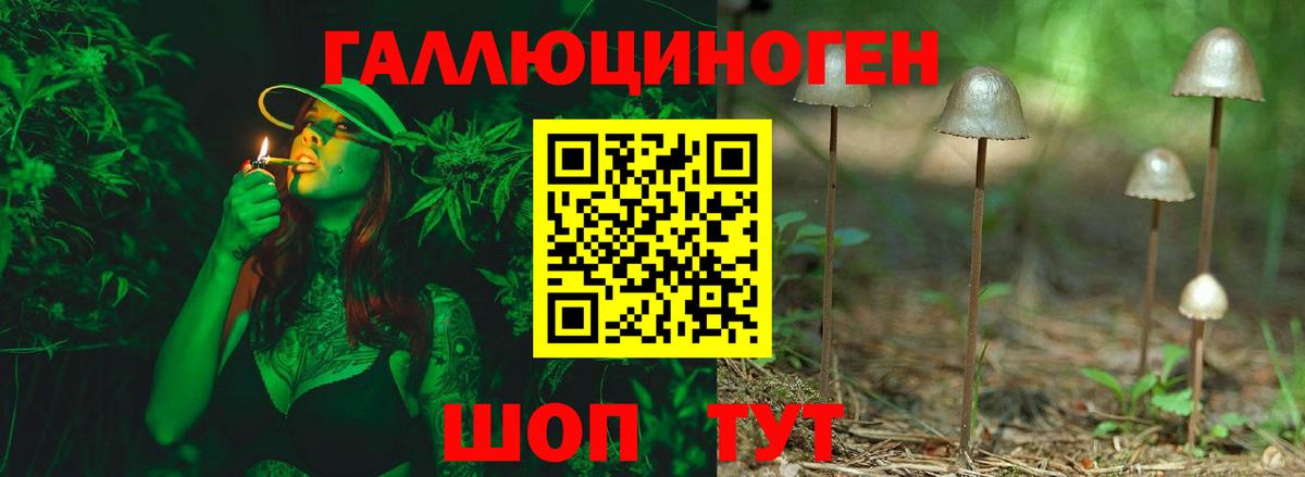 Холмск  Галлюциногенные грибы MAGIC MUSHROOMS  Вход с VPN 